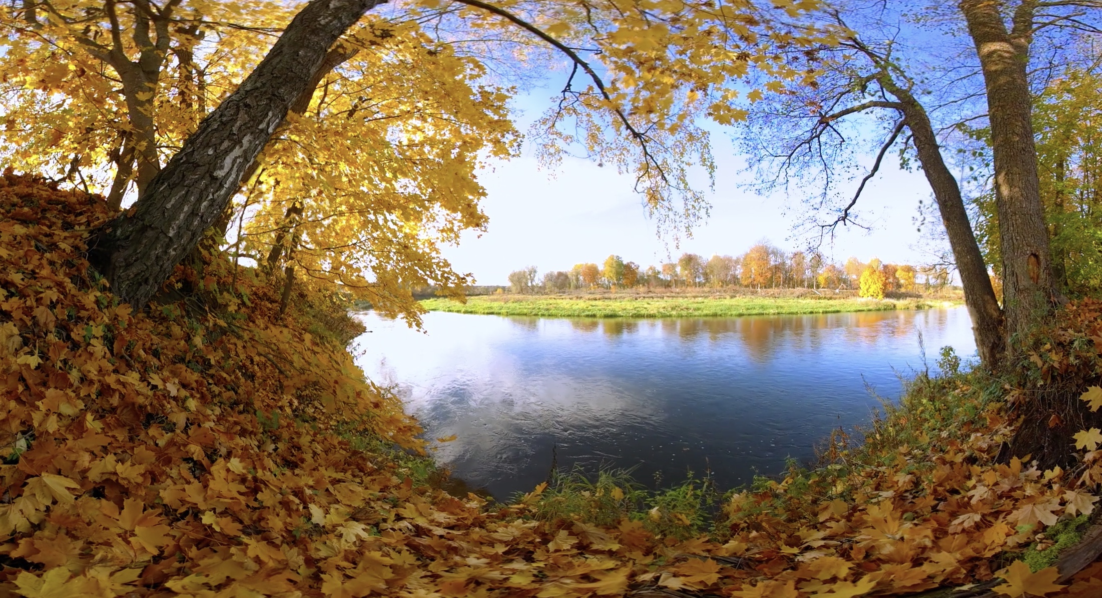 Goldener Herbst