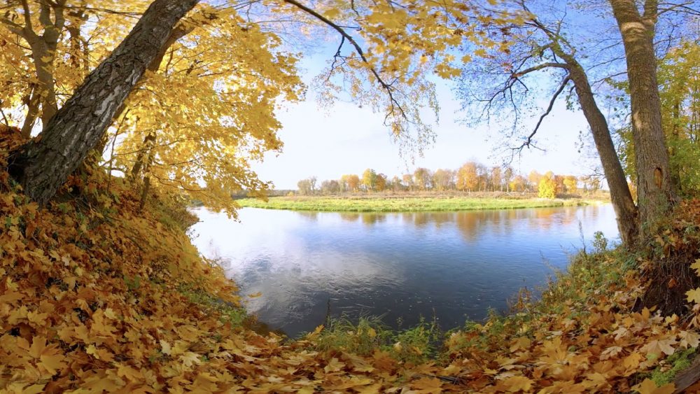Ruhiger See mit herbstlicher Landschaft im Hintergrund